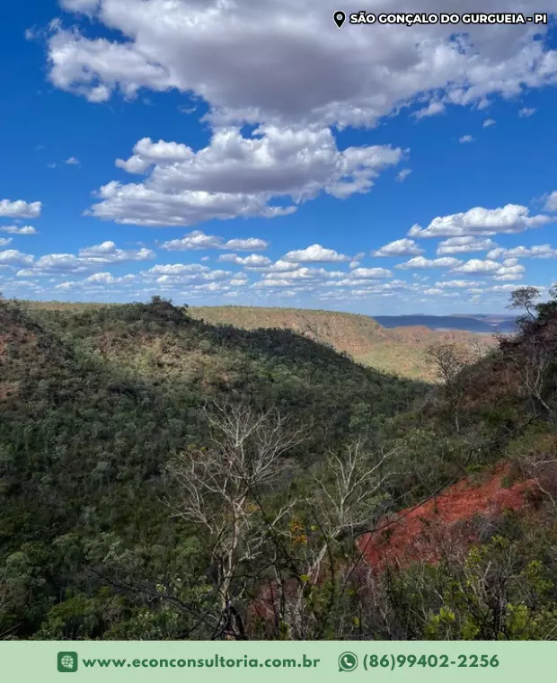 Equipe realizou trabalho em São Gonçalo do Gurgueia - PI para regularização e recuperação de área degradada